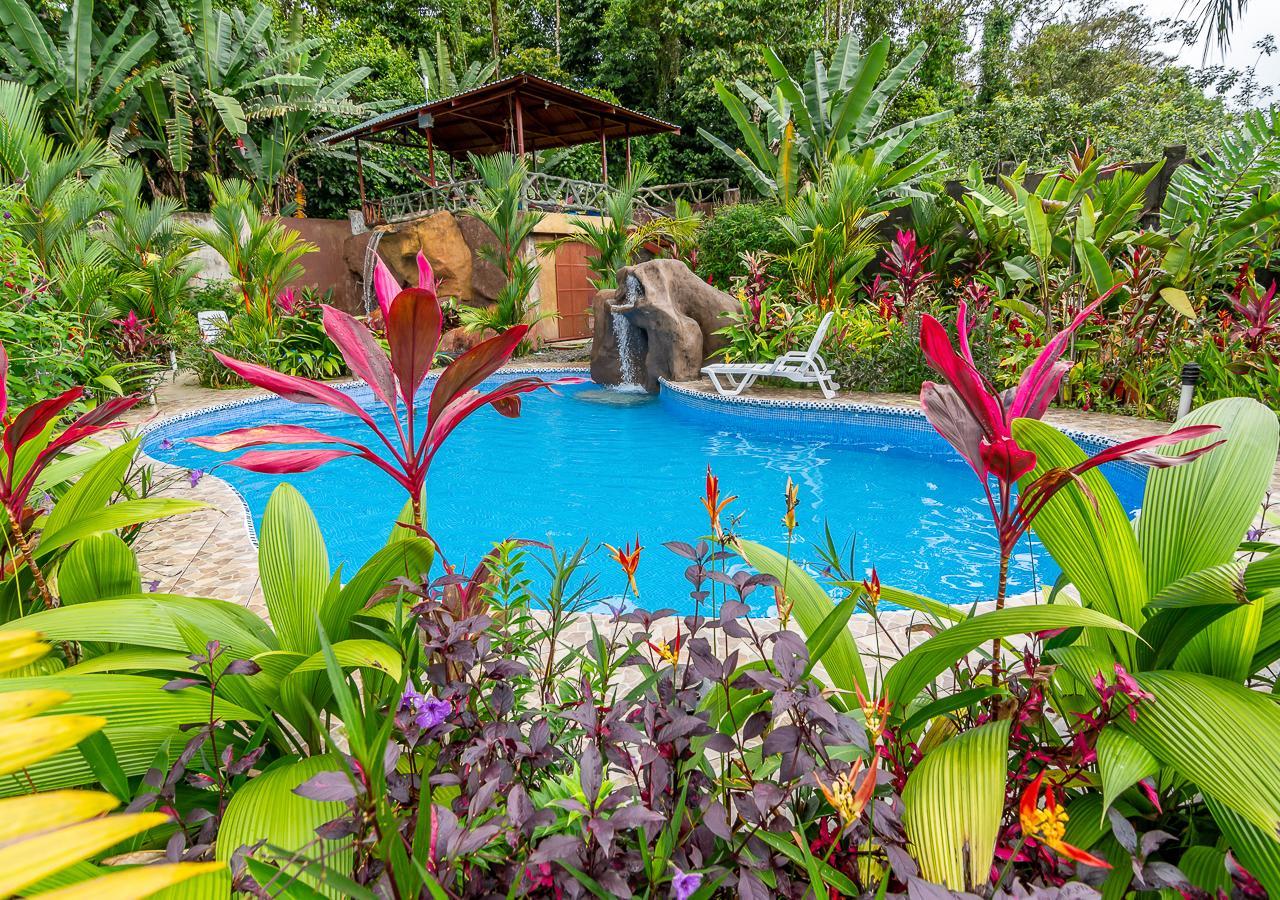 Aunty Arenal Lodge La Fortuna Extérieur photo