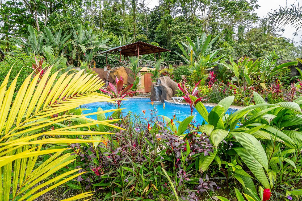 Aunty Arenal Lodge La Fortuna Extérieur photo