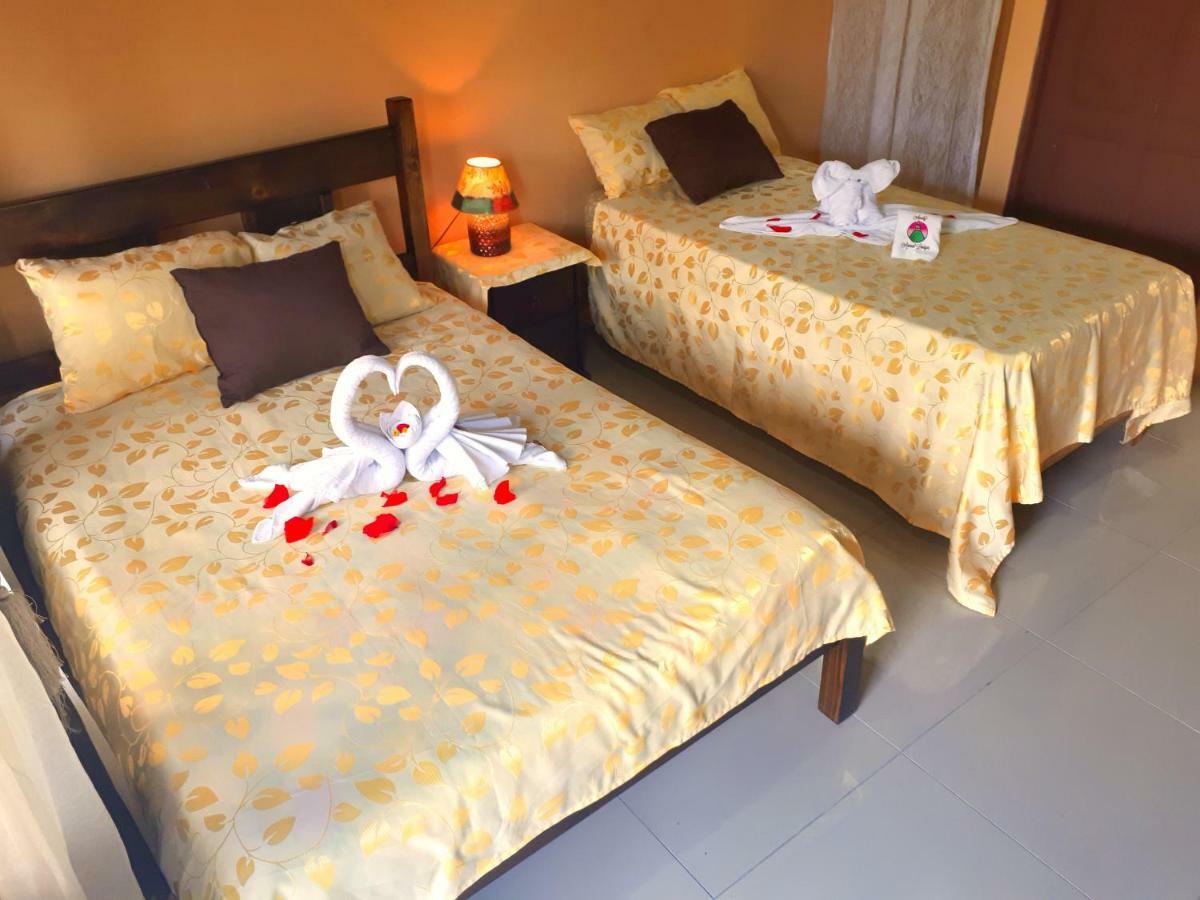 Aunty Arenal Lodge La Fortuna Chambre photo