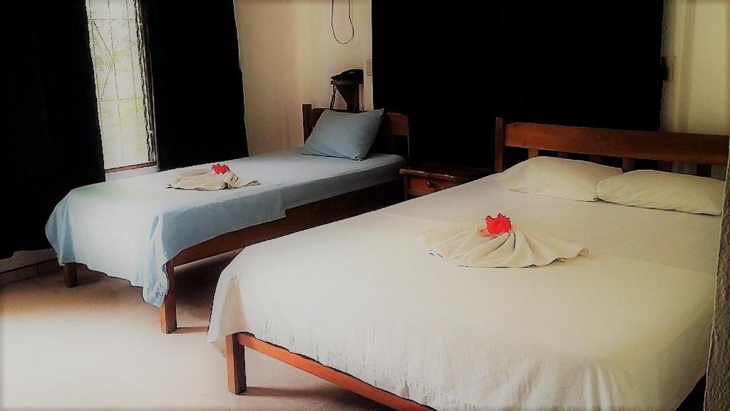 Aunty Arenal Lodge La Fortuna Extérieur photo